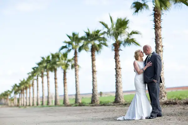 Newly married couple by palm trees
